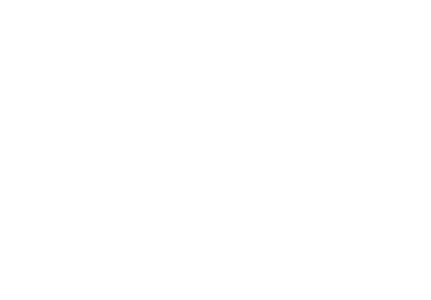 Palmer Custom Build Logo